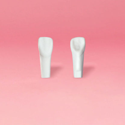 图片 硫酸钡牙齿#11